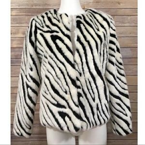 Zebra jacket